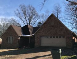 Pre-foreclosure Listing in WALNUT RIDGE LOOP CORDOVA, TN 38018