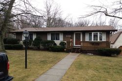 Pre-foreclosure Listing in E WOODLAND CT LOWELL, IN 46356