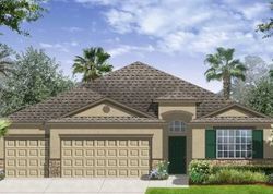 Pre-foreclosure in  CARLOWAY HILLS DR Wimauma, FL 33598