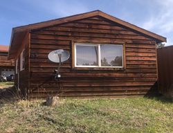 Pre-foreclosure in  ANDESITE LN Florissant, CO 80816