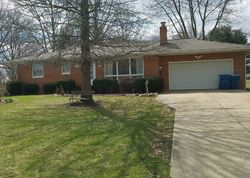 Pre-foreclosure in  BONNIE LOU DR Akron, OH 44319