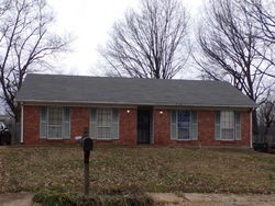 Pre-foreclosure in  BRIARWAY RD Memphis, TN 38115