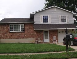 Pre-foreclosure Listing in MIDDLE WALLOP RD BEAR, DE 19701