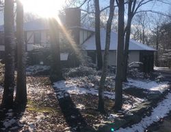 Pre-foreclosure in  PLEASANT RIDGE RD East Stroudsburg, PA 18302