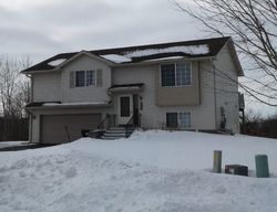 Pre-foreclosure in  DRIFTWOOD CIR Big Lake, MN 55309