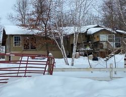 Pre-foreclosure Listing in PONY LAKE RD NW BEMIDJI, MN 56601