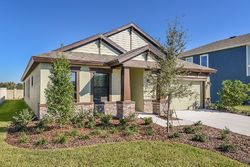 Pre-foreclosure in  NATURAL BRIDGE RD Wesley Chapel, FL 33543