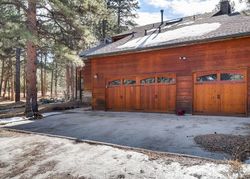 Pre-foreclosure Listing in HOBNAIL CT ELIZABETH, CO 80107
