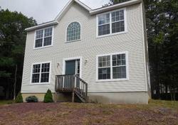 Pre-foreclosure Listing in N SHORE DR ALBRIGHTSVILLE, PA 18210