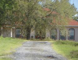 Pre-foreclosure Listing in TURKEY LAKE RD HOWEY IN THE HILLS, FL 34737