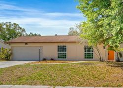 Pre-foreclosure in  VAN GOGH CIR Brandon, FL 33511