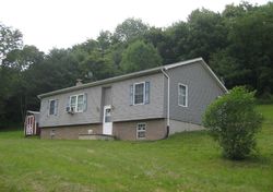 Pre-foreclosure in  LEUCK DR Cogan Station, PA 17728