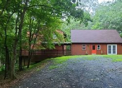 Pre-foreclosure in  BLUEBIRD CT Basye, VA 22810