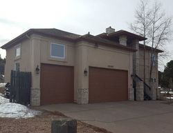 Pre-foreclosure in  TRUE VISTA CIR Monument, CO 80132