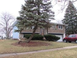 Pre-foreclosure in  ARBOR VITAE DR Hanover Park, IL 60133