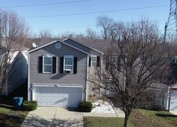 Pre-foreclosure in  ORCHID BLOOM LN Indianapolis, IN 46231