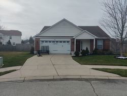 Pre-foreclosure in  BASSWOOD CT Carmel, IN 46032