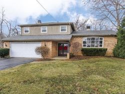 Pre-foreclosure Listing in APPLEY AVE LIBERTYVILLE, IL 60048