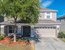  New London Ave, Land O Lakes FL