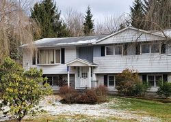 Pre-foreclosure in  BURMA RD Mountain Top, PA 18707