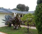 Pre-foreclosure in  SW 128TH PL Miami, FL 33183