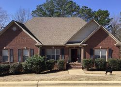 Pre-foreclosure Listing in MASON CIR ODENVILLE, AL 35120