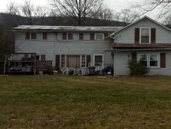 Pre-foreclosure Listing in SALEMVILLE RD NEW ENTERPRISE, PA 16664