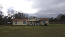 Pre-foreclosure Listing in SPIES RD FORT MITCHELL, AL 36856