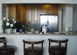 Pre-foreclosure Listing in DIANA DR APT 406 HALLANDALE, FL 33009