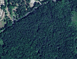 Pre-foreclosure in  PROSPECT LAKE RD Great Barrington, MA 01230