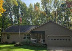 Pre-foreclosure Listing in WALES DR STANWOOD, MI 49346