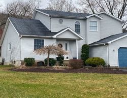 Pre-foreclosure in  TERRACE LN Sugarloaf, PA 18249