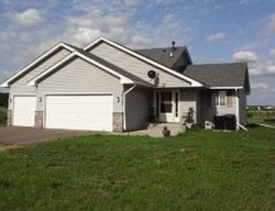 Pre-foreclosure Listing in 105TH ST PRINCETON, MN 55371