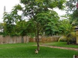 Pre-foreclosure in  CHATEAU PARK DR Fort Lauderdale, FL 33311