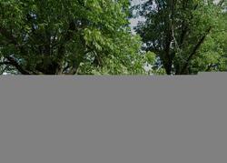 Pre-foreclosure Listing in STELLA DR GREENWOOD, IN 46143