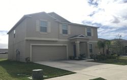 Pre-foreclosure Listing in PEACEFUL VALLEY DR WIMAUMA, FL 33598