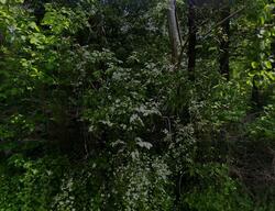 Pre-foreclosure Listing in OLD ALBANY POST RD GARRISON, NY 10524