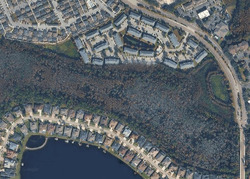 Pre-foreclosure in  IVY LAKE DR Odessa, FL 33556