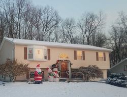 Pre-foreclosure Listing in PRINCETON DR WALDEN, NY 12586