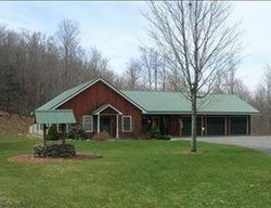 Pre-foreclosure Listing in TAYLOR RD EAST MEREDITH, NY 13757