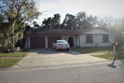 Pre-foreclosure in  WRENWOOD CIR Tampa, FL 33617