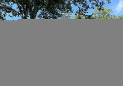  Pecan Dr, Hartsville SC