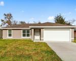 Pre-foreclosure in  OLIVE CIRCLE LOOP Ocala, FL 34472