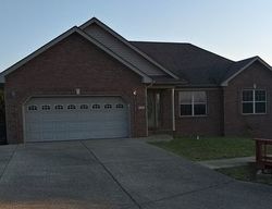 Pre-foreclosure Listing in AMY CT RADCLIFF, KY 40160