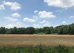 Pre-foreclosure in  GRAVESEND RD Smyrna, DE 19977