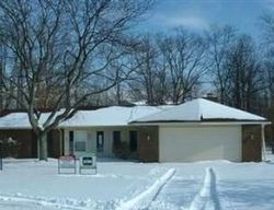 Pre-foreclosure Listing in BUFFALO CT FORT WAYNE, IN 46804