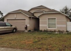 Pre-foreclosure Listing in MERRY RD TAVARES, FL 32778
