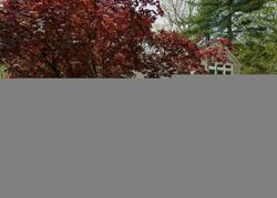 Pre-foreclosure in  PIONEER TRL Oak Ridge, NJ 07438