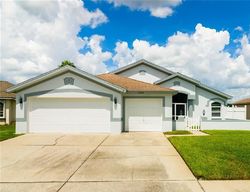 Pre-foreclosure in  AUDUBON TRL Lutz, FL 33549