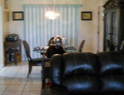 Pre-foreclosure in  SE 178TH ST Summerfield, FL 34491